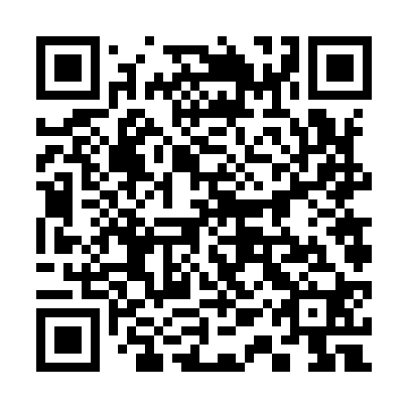 QR code for plate 31V 920