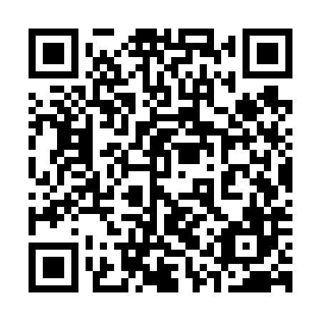 QR code for plate 31W V86