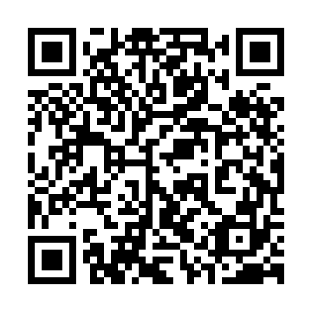 QR code for 31X HG2