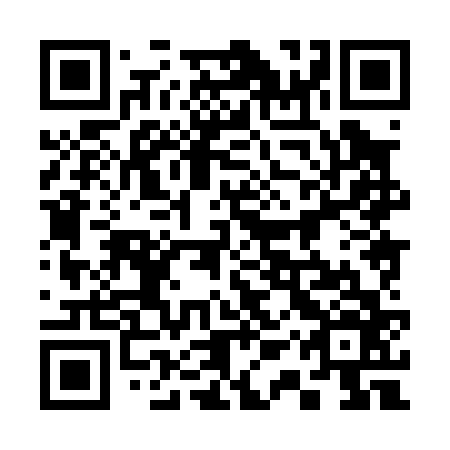 QR code for 31X066
