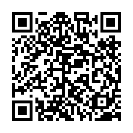 QR code for plate 31X BA1