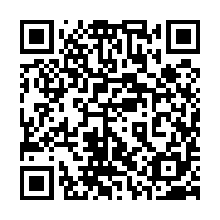 QR code for 31Y 595
