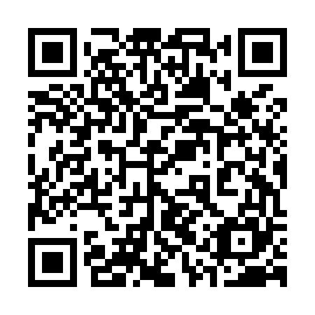 QR code for plate 31Z M65