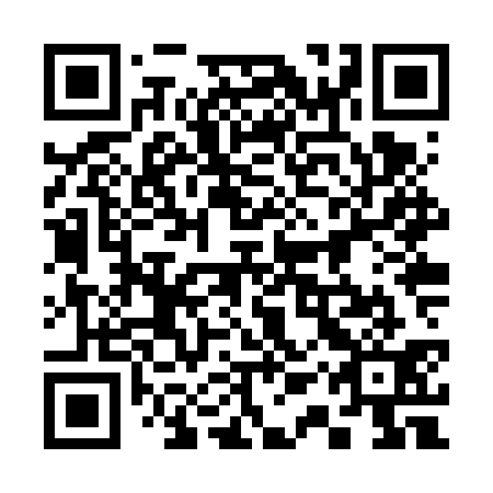QR code for plate 31Z VS1