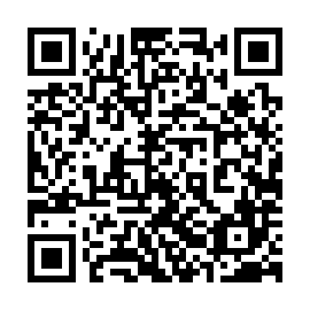 QR code for plate 32D 386