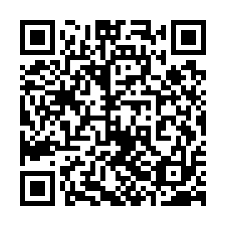 QR code for plate 32G G13