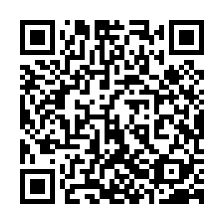 QR code for 32H P29