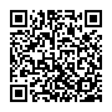 QR code for plate 32L M55