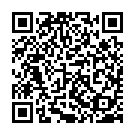 QR code for plate 32R 319