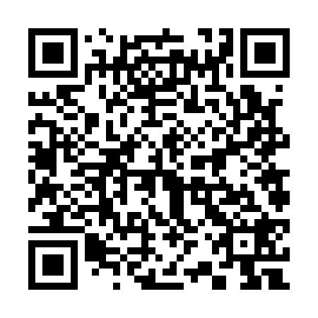 QR code for plate 32V 128