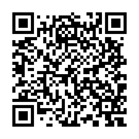 QR code for plate 32V E96