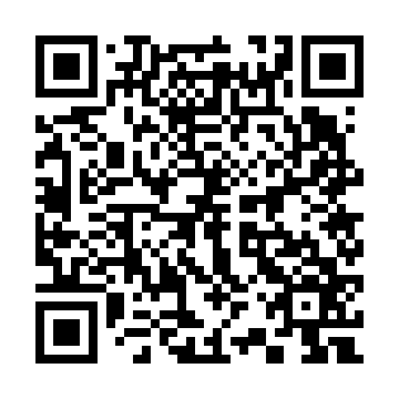 QR code for plate 32W 666