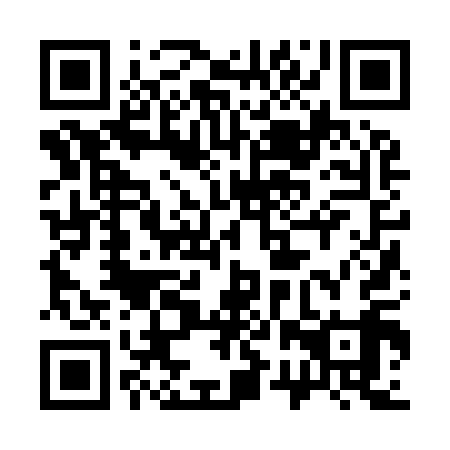 QR code for 32Z 919