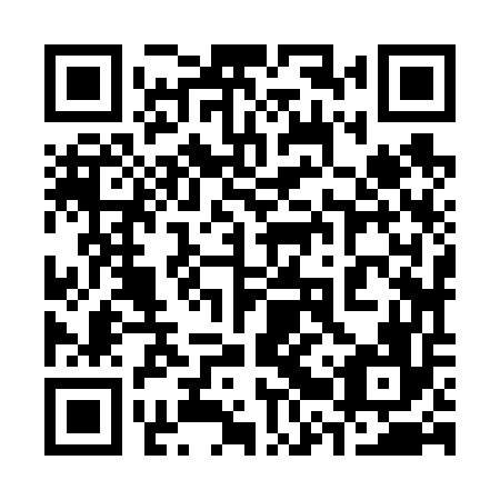 QR code for plate 32Z 656