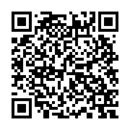 QR code for 33B 737