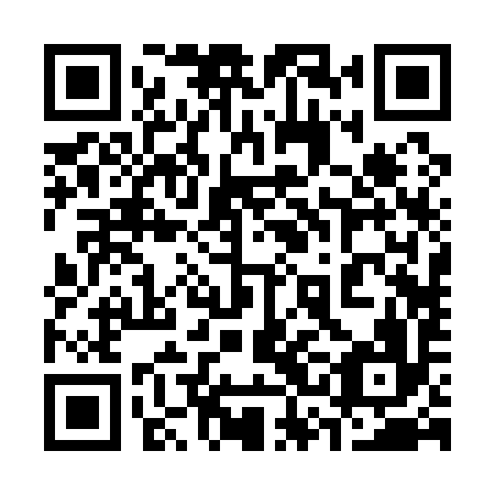 QR code for plate 33B 196