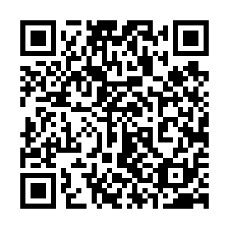 QR code for 33D611