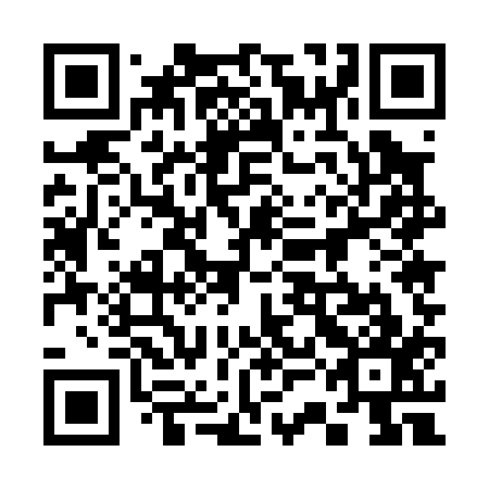 QR code for plate 33E 017