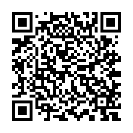 QR code for plate 33E VH6