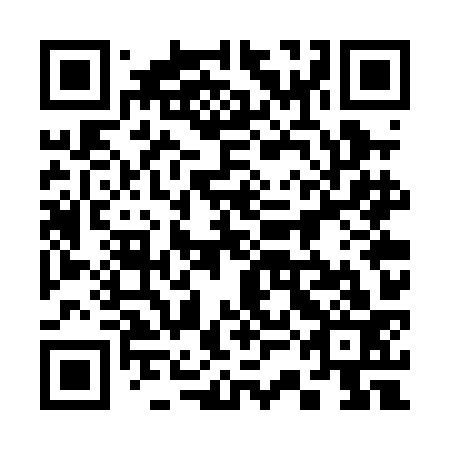 QR code for plate 33G PK3