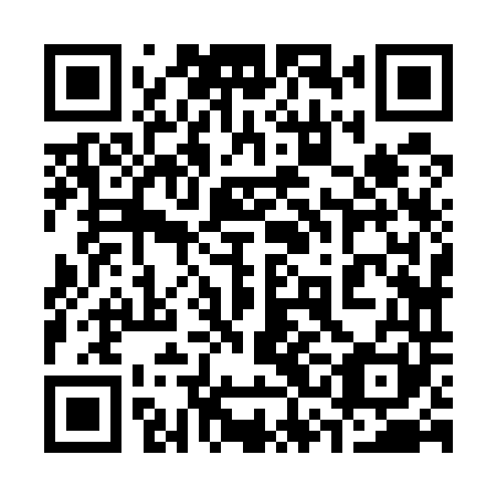 QR code for plate 33J 541