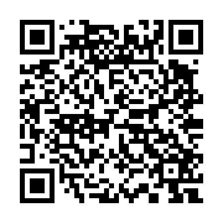 QR code for plate 33J T06