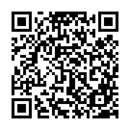 QR code for plate 33K 446