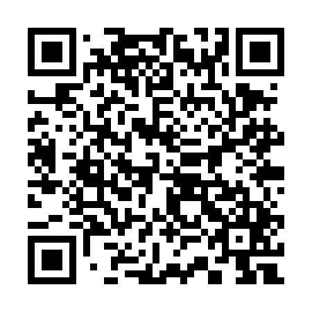 QR code for plate 33K TD5
