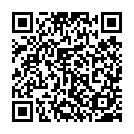 QR code for 33N 641
