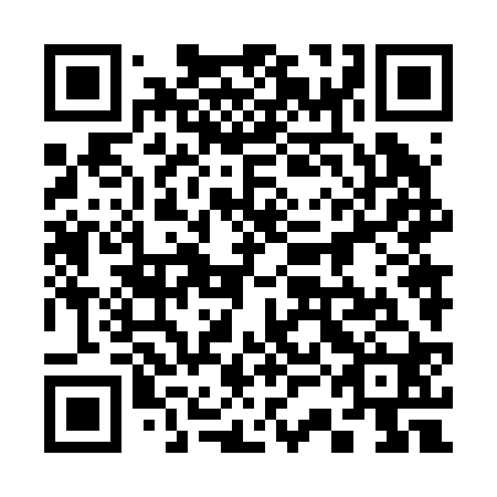 QR code for plate 33N 220