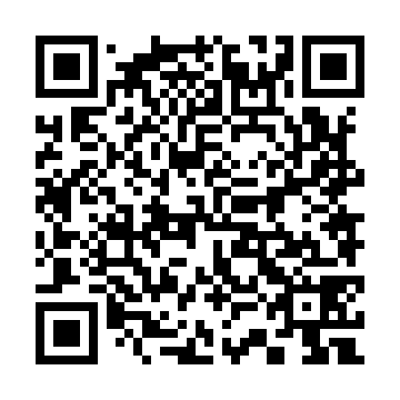 QR code for plate 33N 978