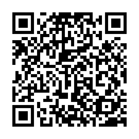 QR code for plate 33O H28
