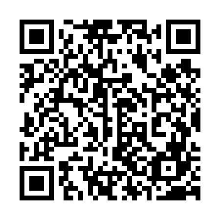 QR code for plate 33O V66