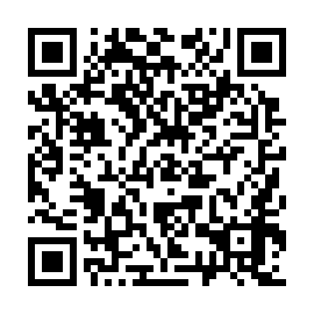 QR code for plate 33P 358