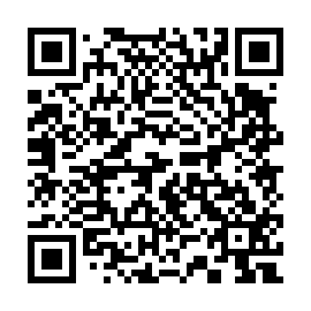 QR code for plate 33P 413