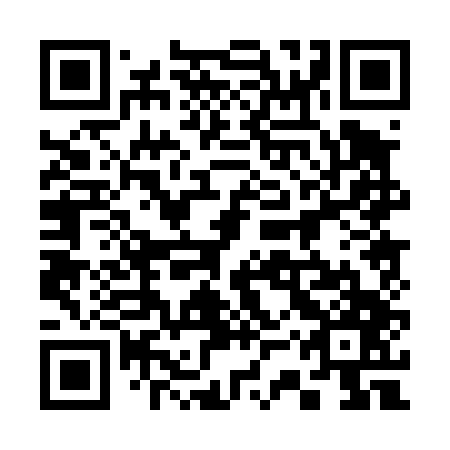 QR code for plate 33P 447