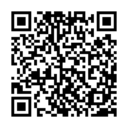 QR code for plate 33P 741