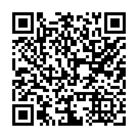 QR code for 33P873