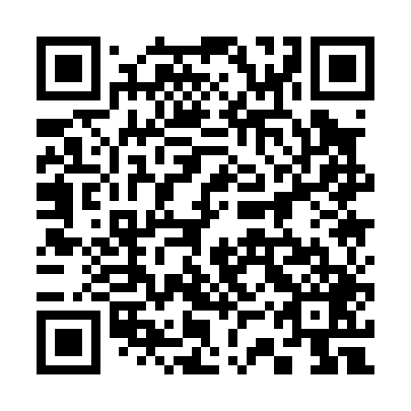 QR code for plate 33Q 049
