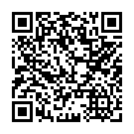 QR code for plate 33Q 605