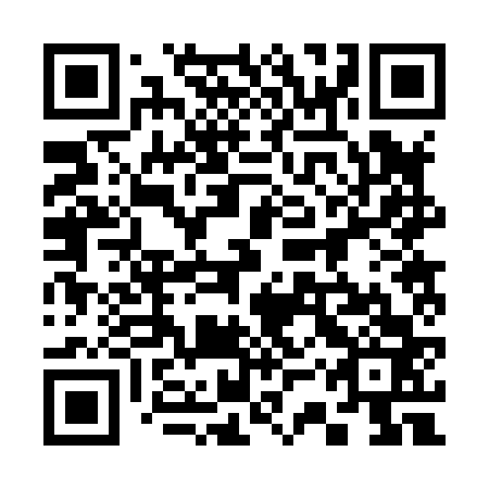 QR code for plate 33R 863