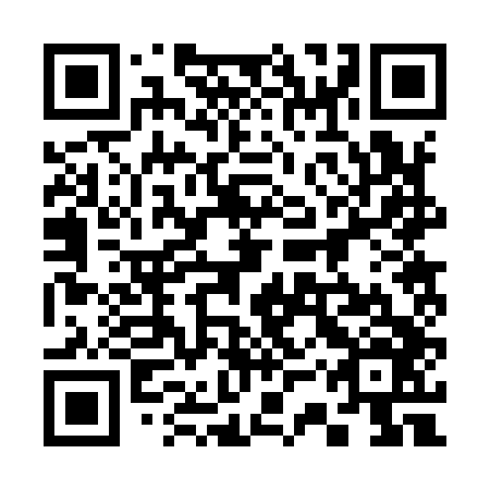 QR code for plate 33R 946