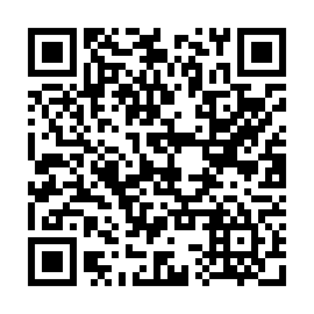 QR code for plate 33R L65