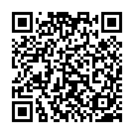 QR code for plate 33S 061