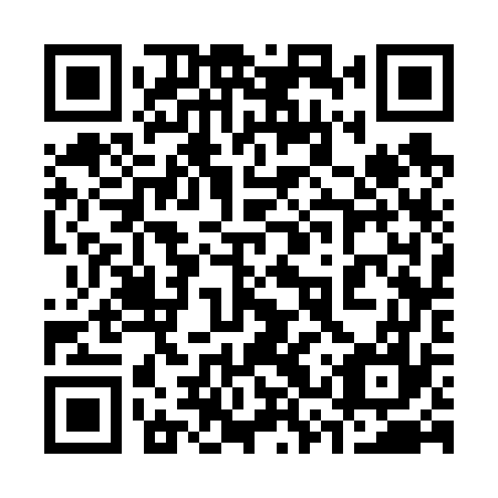 QR code for plate 33S 677