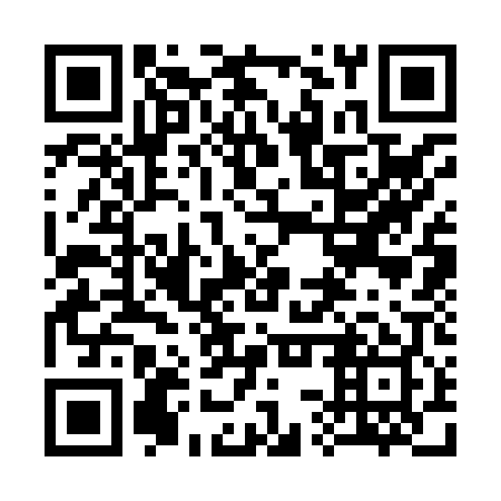 QR code for plate 33S 809
