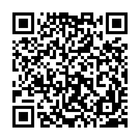 QR code for plate 33S MI6