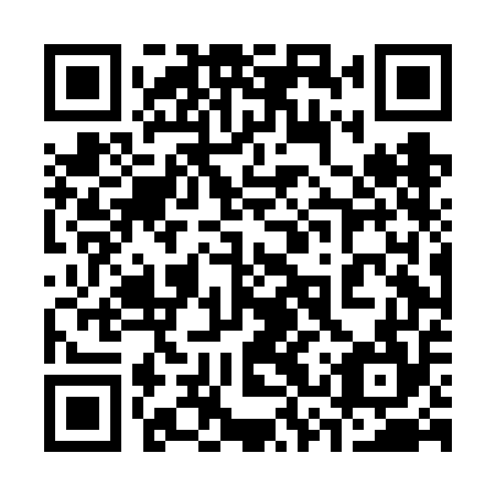 QR code for plate 33T FE4