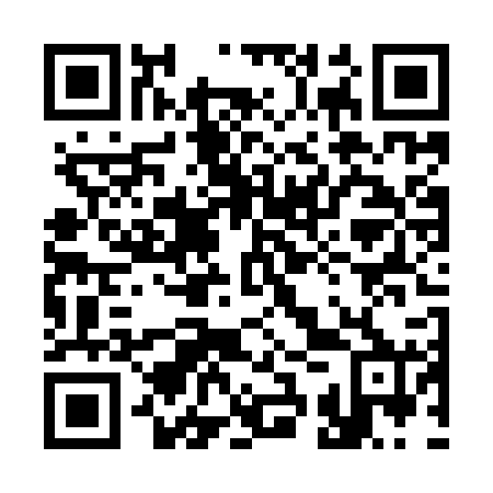 QR code for plate 33T YR0