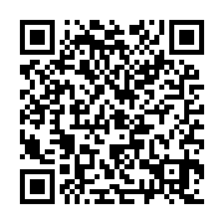 QR code for plate 33T YS1